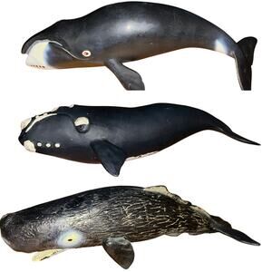 3 Safari BOWHEAD WHALE & RIGHT & Sperm  Animal Figurine Safari Ltd. toy Sea Life